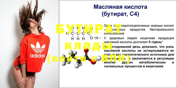индика Богданович