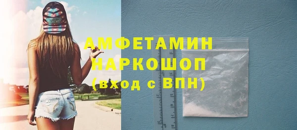 индика Богданович
