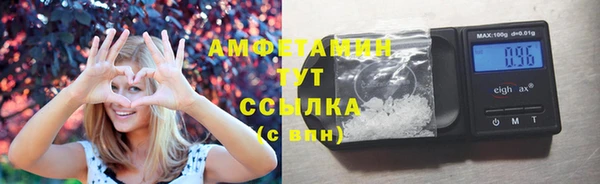 индика Богданович