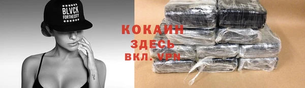 индика Богданович