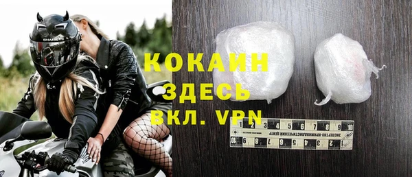 индика Богданович