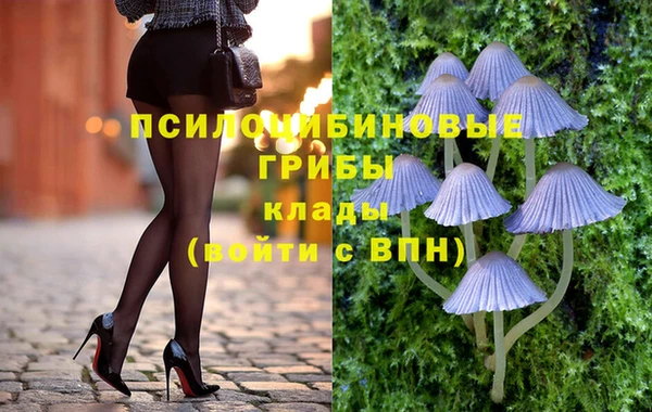 тгк Богородицк