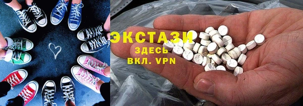 индика Богданович