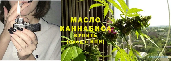 тгк Богородицк