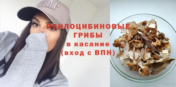 индика Богданович