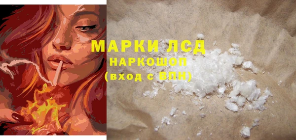 индика Богданович