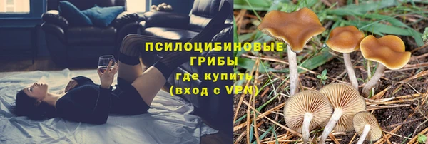 тгк Богородицк