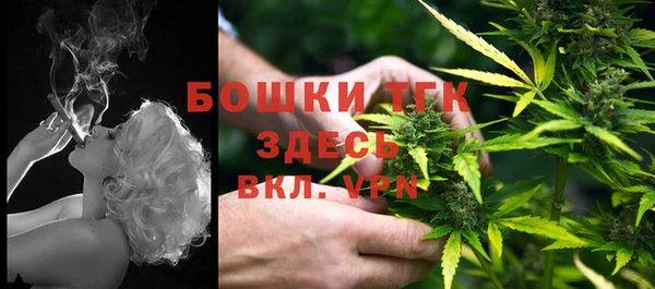 тгк Богородицк