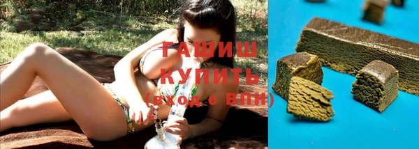 индика Богданович
