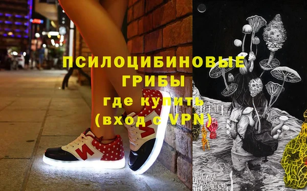 индика Богданович