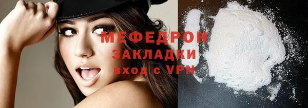 индика Богданович