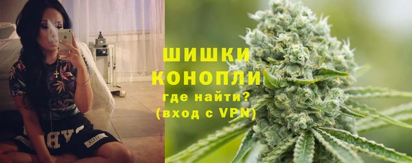 mdpv Богородск
