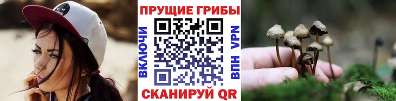 Галлюциногенные грибы MAGIC MUSHROOMS  Шацк 