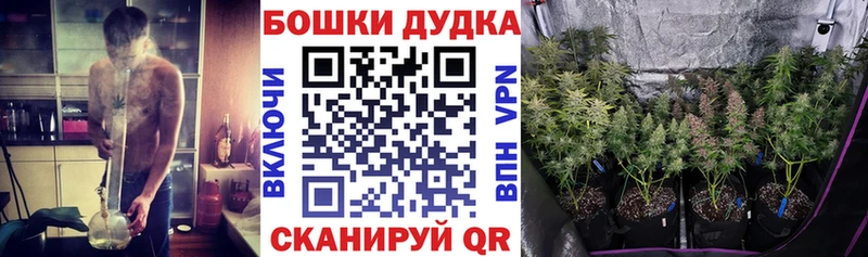 Каннабис сатива  Шацк 
